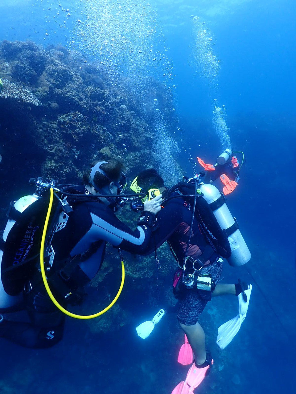 De ce să alegi o mască full-face Ocean Reef pentru diving