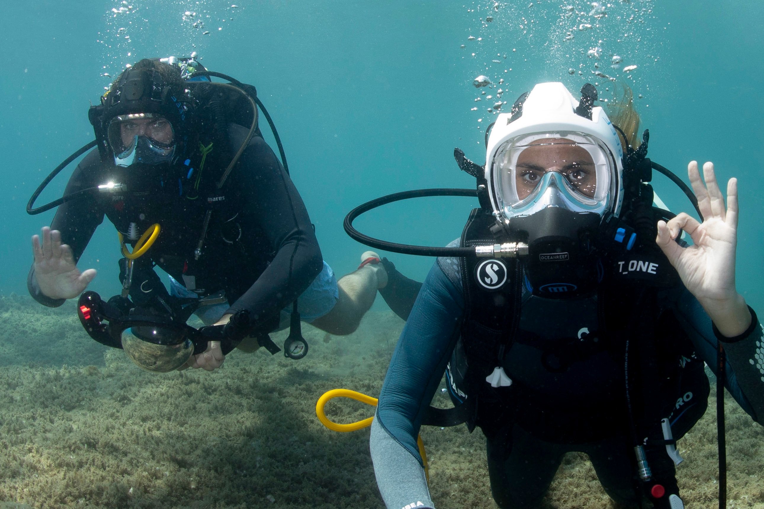 CURS ON-LINE IDM OCEAN REEF