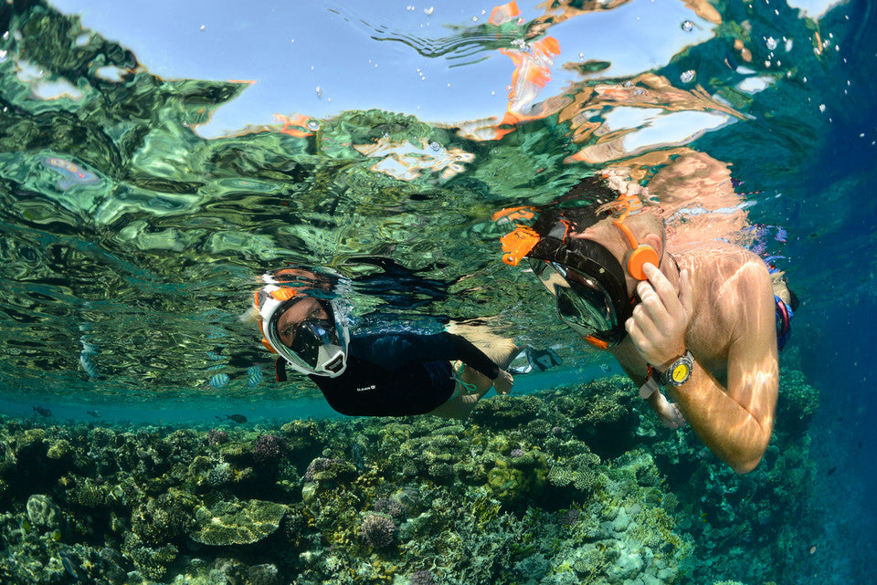 ARIA QR+ cu SNORKIE TALKIE