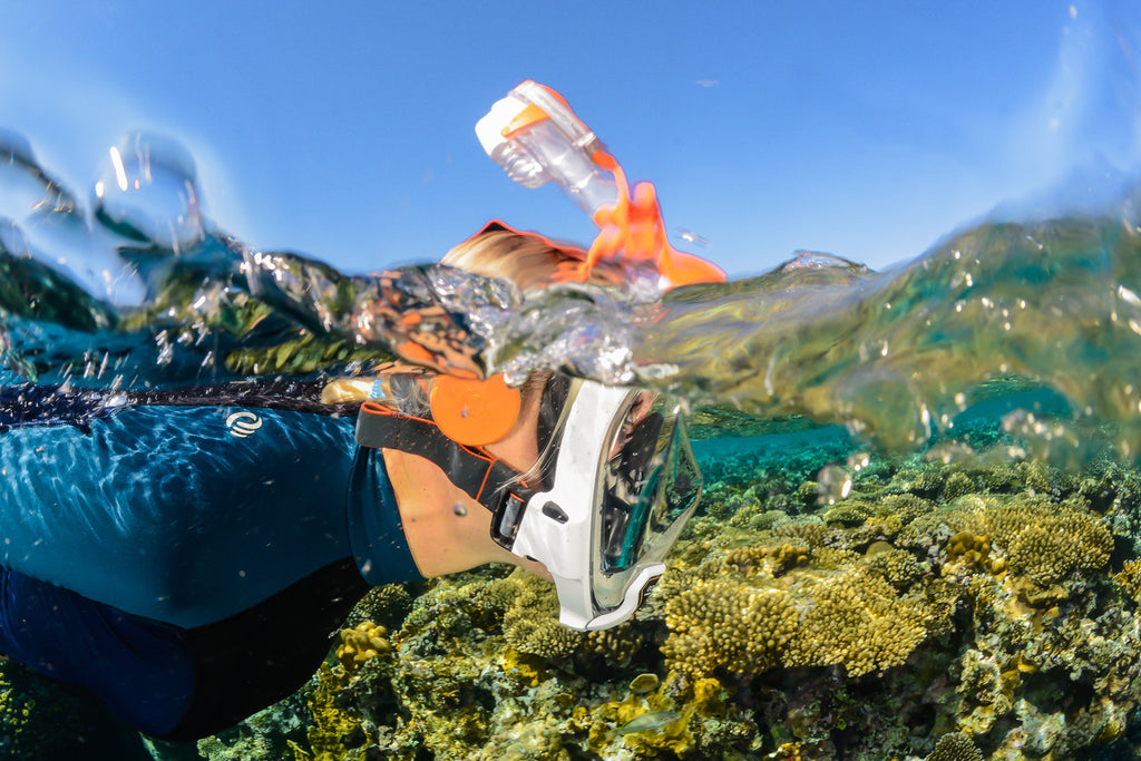 ARIA QR+ cu SNORKIE TALKIE